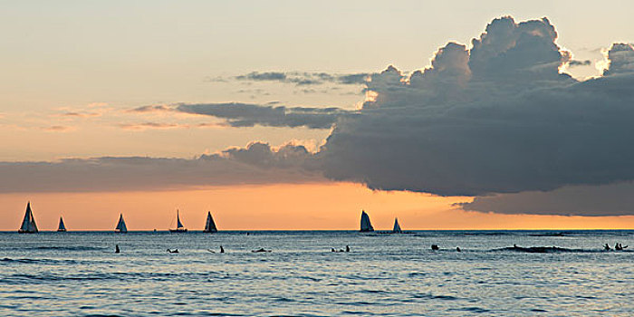 冲浪,帆船,海洋,日落,怀基基海滩,檀香山,瓦胡岛,夏威夷,美国