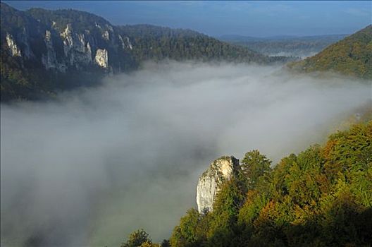 雾,气氛,多瑙河,山谷,巴登符腾堡,德国