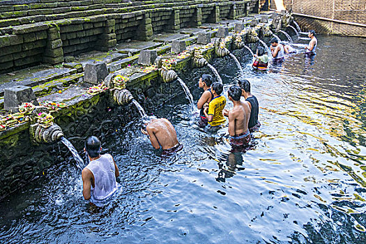 神圣,水池,水,乌布,巴厘岛,印度尼西亚