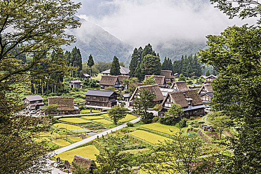 历史,乡村,五箇山,岐阜,日本