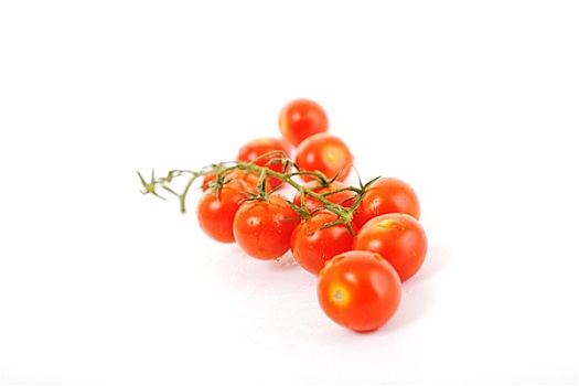 西红柿,隔绝
