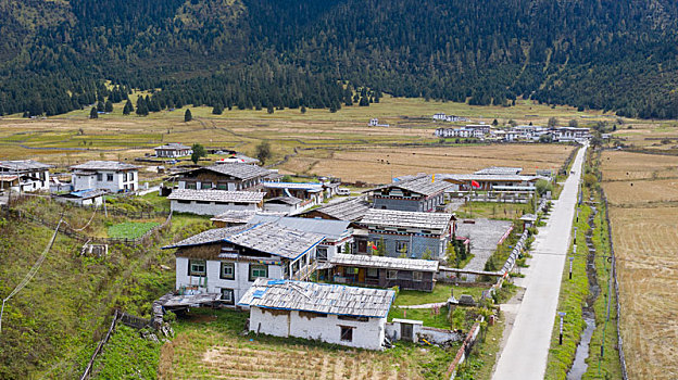 西藏的农村林芝扎西岗村