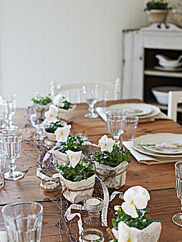 木桌子,白色,堇菜属,厨房