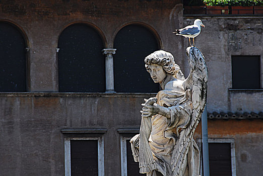 海鸥,天使,桥,梵蒂冈城,罗马,意大利