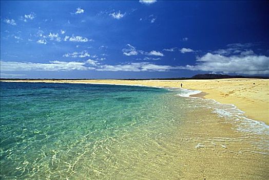 夏威夷,禁止,岛屿,海滩,北岸