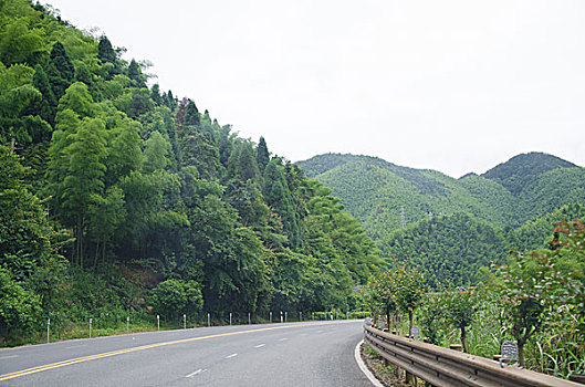 井冈山的路