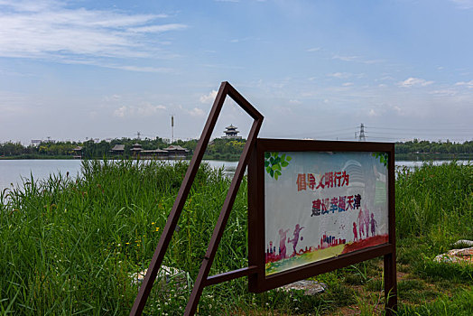 天津市西青区水西公园郊野风光