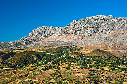 特色,山,风景,散开,房子,小,地点,橄榄,树,里夫山脉,北方,摩洛哥,非洲