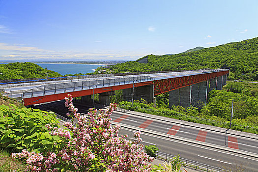 道路,路线