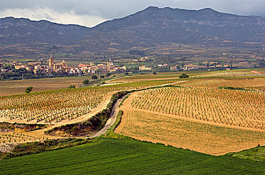 山,教堂,围绕,葡萄园,拉里奥哈,区域,北方,西班牙