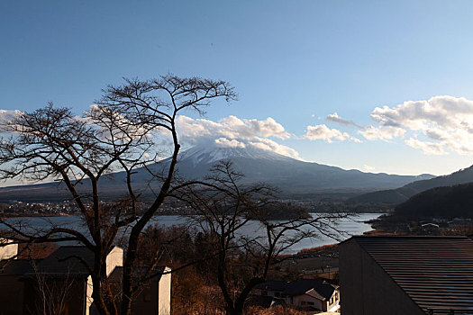 富士山