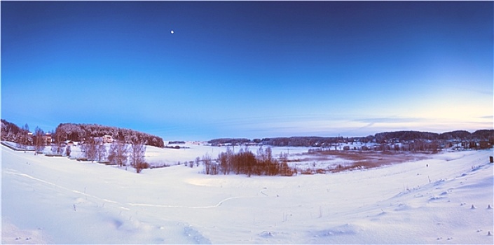 冬天,黎明,雪景