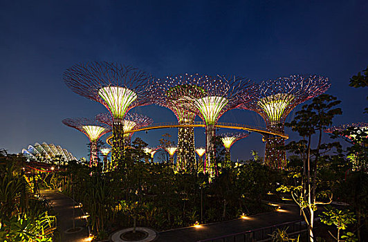 照亮,夜晚,花园,新加坡