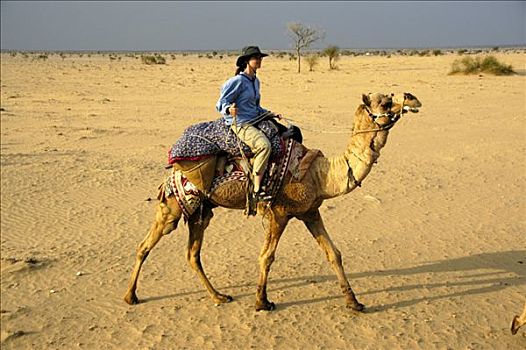 骆驼,跋涉,女青年,戴着,帽子,骑,沙子,塔尔沙漠,靠近,斋沙默尔,拉贾斯坦邦,印度
