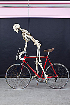 骨骼,自行车