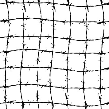 栅栏,刺铁丝网,隔绝,白色背景,背景