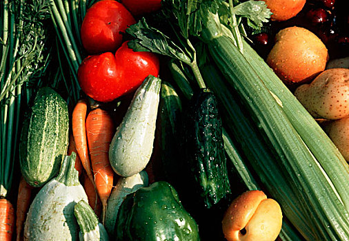 品种,蔬菜