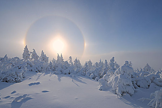 光环,上方,雪,遮盖,树,矿,山峦,萨克森,德国