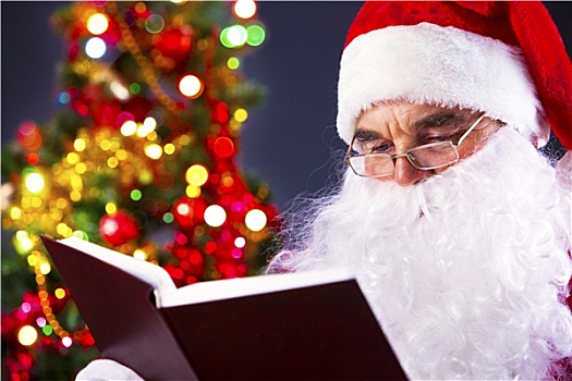圣诞老人,读,书本