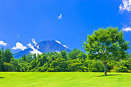 山,富士山,公园