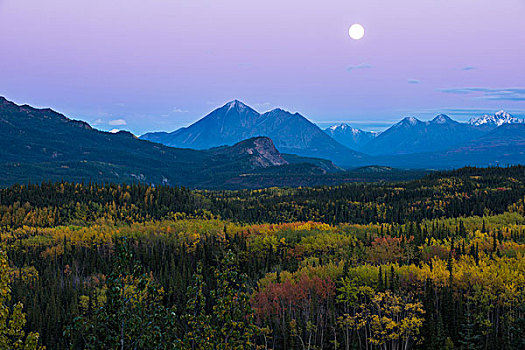 秋景,德纳里峰国家公园,阿拉斯加,美国,北美