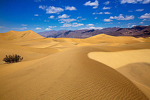 沙漠,死亡谷国家公园,加利福尼亚