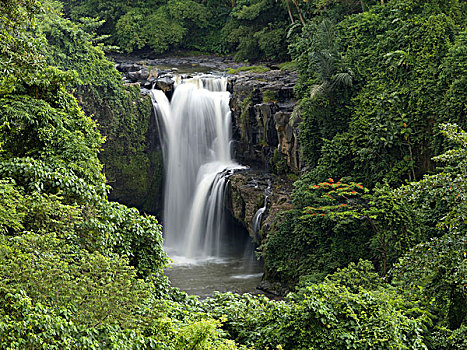 瀑布,流动,河,巴厘岛,印度尼西亚