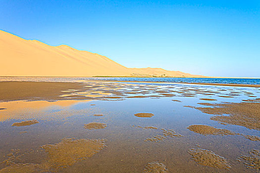 沙丘,反射,泻湖,旁侧,大西洋,海洋,湾,纳米布沙漠,埃龙戈区,纳米比亚,南非