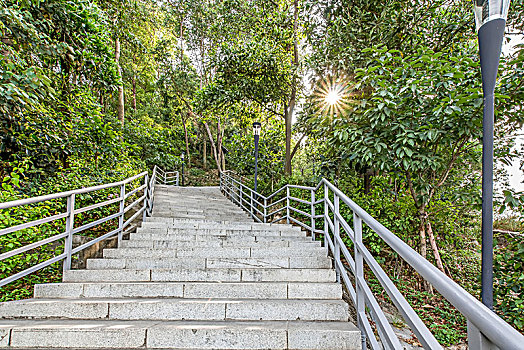 公园无人的楼梯台阶