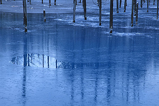 冰冻,蓝色,水塘