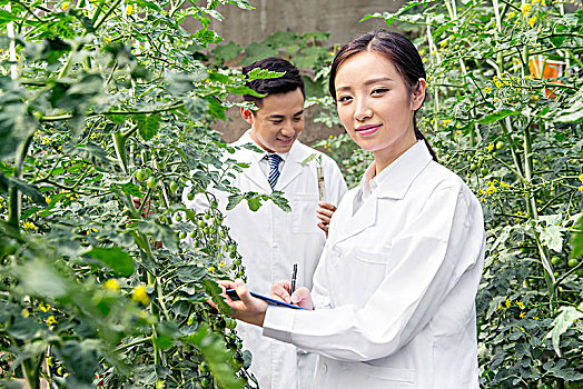 正在大棚里进行科学研究的青年男女