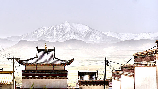 中国青海省雪山下的阿柔大寺