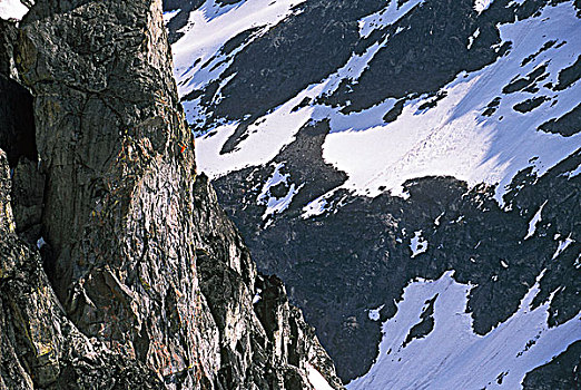 攀登,牛仔,展示,尖顶,黑梳山,不列颠哥伦比亚省,加拿大