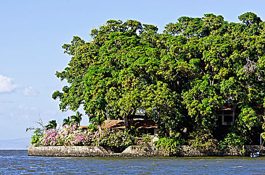 小岛,热带,植被,湖,尼加拉瓜,中美洲
