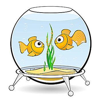 情侣,金鱼,鱼缸