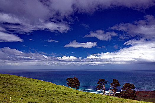 新西兰南岛