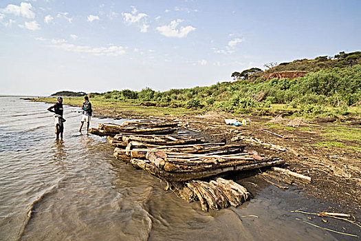 渔民,湖,埃塞俄比亚,船,抓住,海滩,简单,乡村,筏子,轻巧,木头,非洲