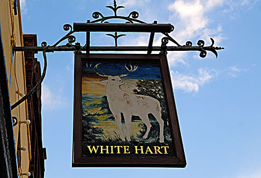 酒馆标志,白色,雄赤鹿,雄鹿,市场,山,剑桥郡,英格兰,英国,欧洲