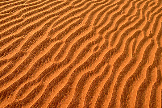 沙子,波纹,纹理,沙丘,阿杰尔高原,撒哈拉沙漠,北非,阿尔及利亚,非洲