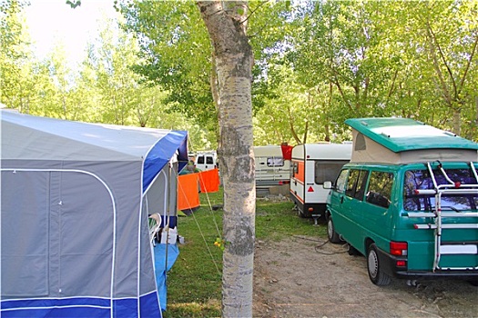 露营,帐篷,房车,绿色,树,户外
