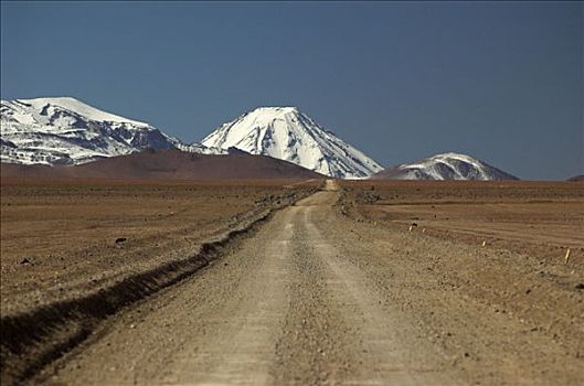 道路,高地,阿塔卡马沙漠,南美