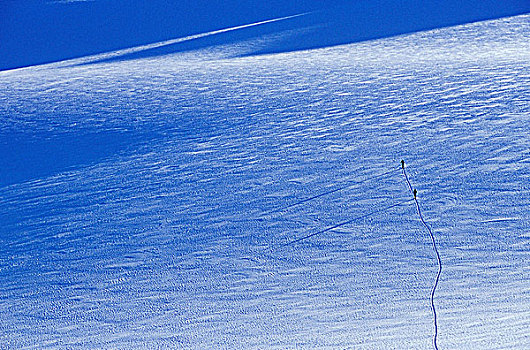 滑雪者,去皮,向上,鹰,冰河,不列颠哥伦比亚省,加拿大
