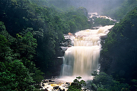 南美,委内瑞拉,卡奈伊玛国家公园,天使,瀑布