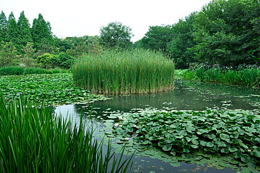 设计风景图