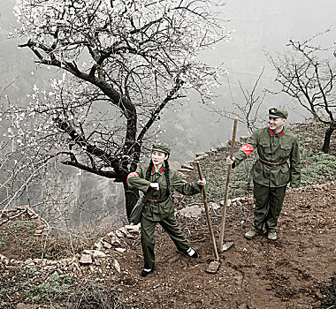 剧情,山村,山地,锄头,干活,杏花,雾