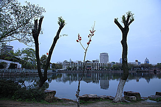 浙江宁波月湖