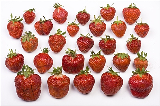 草莓,地点
