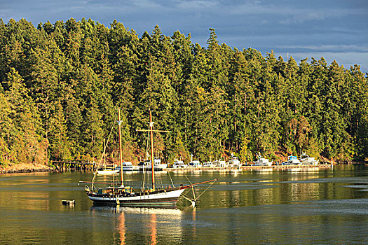 渡轮,风景,靠近,岛屿,圣胡安