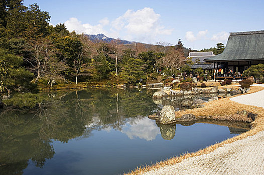 日本,京都,岚山,佛教,花园,水塘
