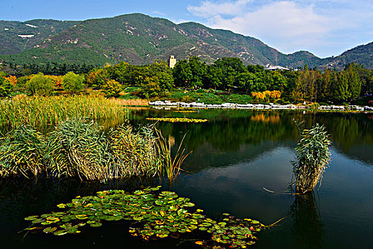 北京市植物园的风景